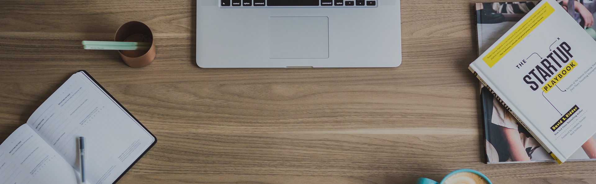 Le Laurier : Histoire et Bienfaits